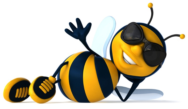 Did you hear the Buzzzzzzzzzzzzzzzzzzzzzzzzzz?
