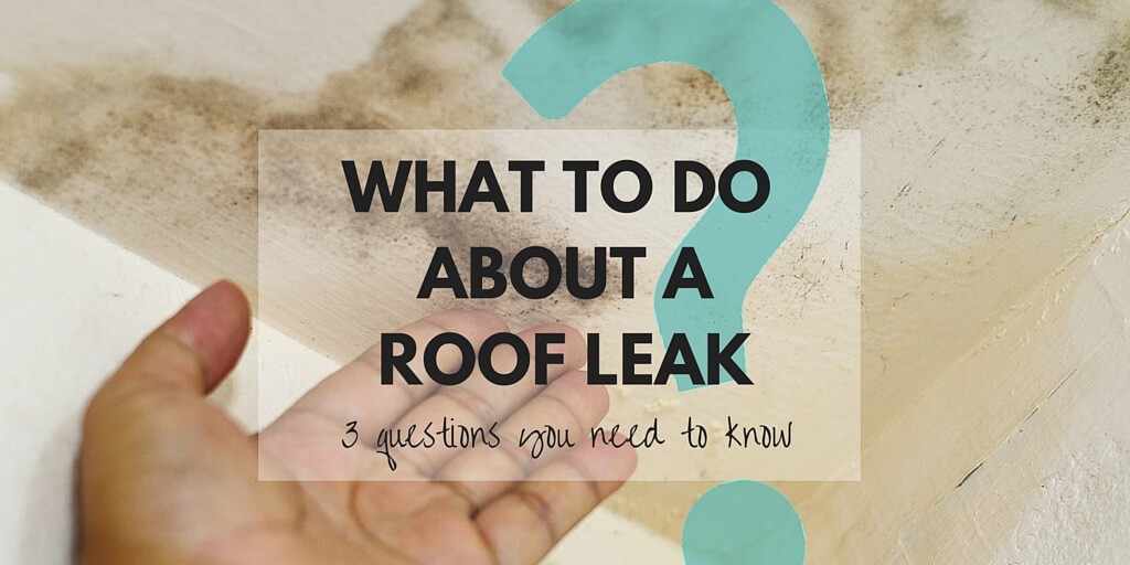 What to do about a Roof Leak