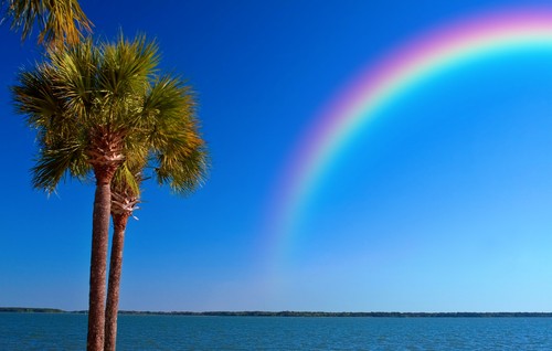 5 things you need to know about rainbows.
